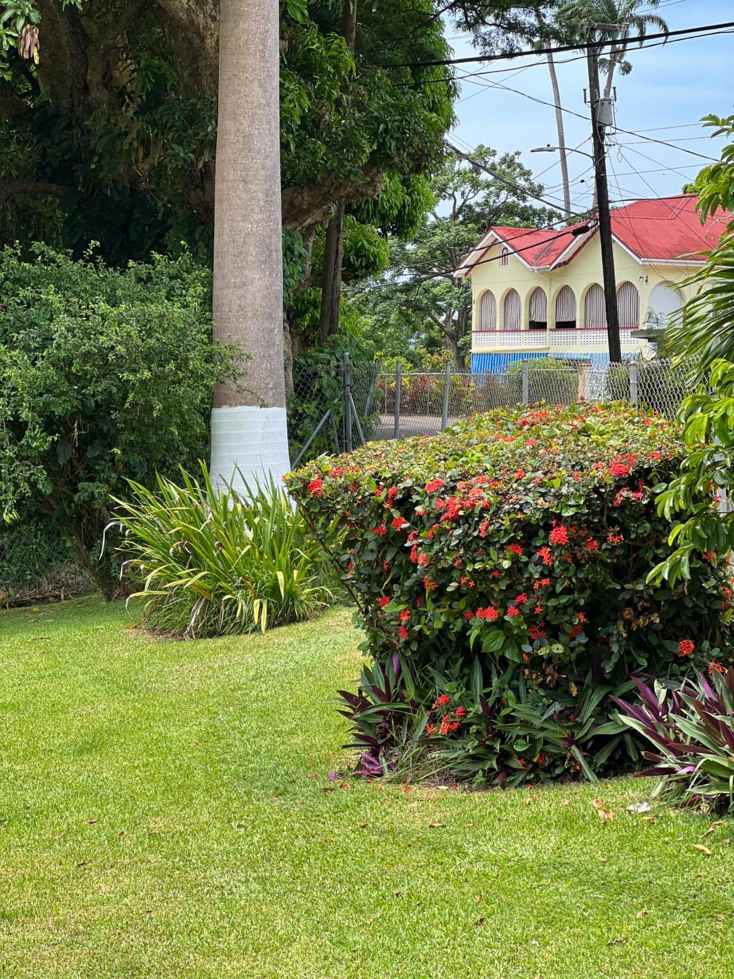 Hotel Rnm The Clubhouse, Grenada à Mount Nesbit Extérieur photo